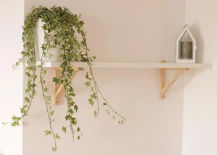 ベッド・アンド・ブレックファスト Sole Sečovlje